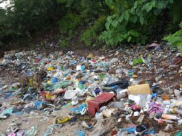 Environnement : les déchets plastiques, une menace pour le littoral
