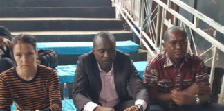 la protection des chimpanzés et de l’environnement illustrée par la Compagnie Bouche d’aire