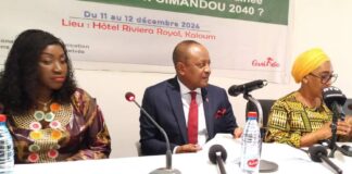 Atelier technique: le ministre Fana Soumah lance les hostilités sur la politique de l’information et de la communication pour la Guinée à l’aulne de la vision Simandou 2040.